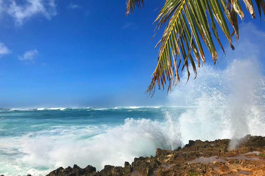 View from Turtle Bay Resort 3