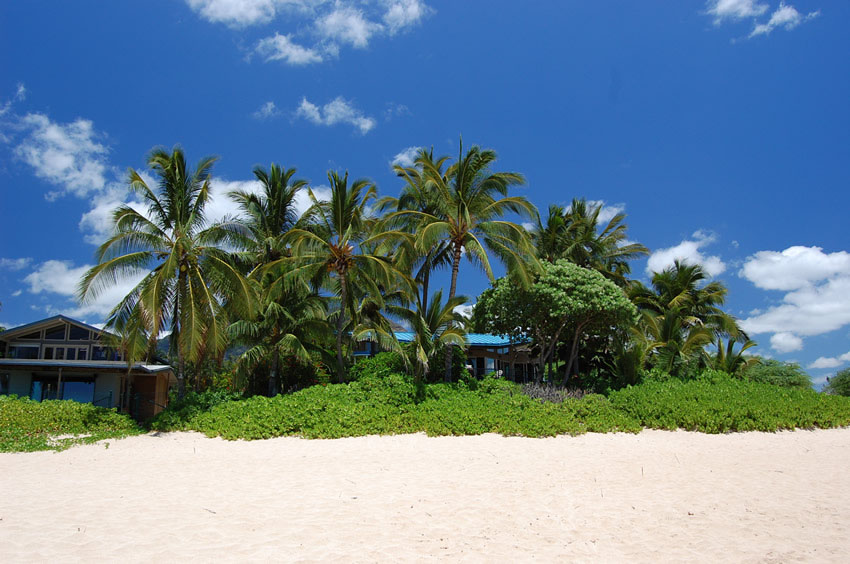 Beachfront Homes