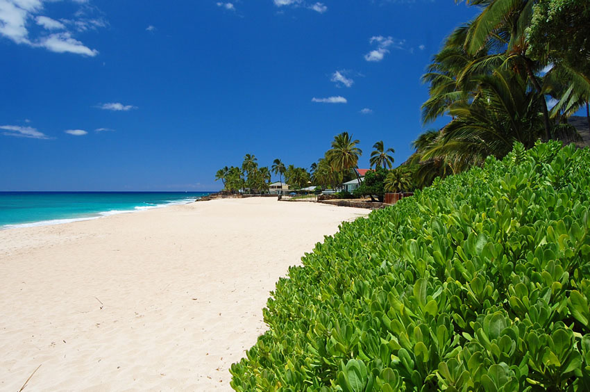 Postcard Perfect Beach