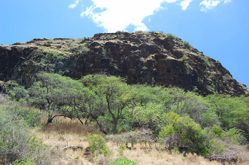 Up Close View of Mauna Lahilahi