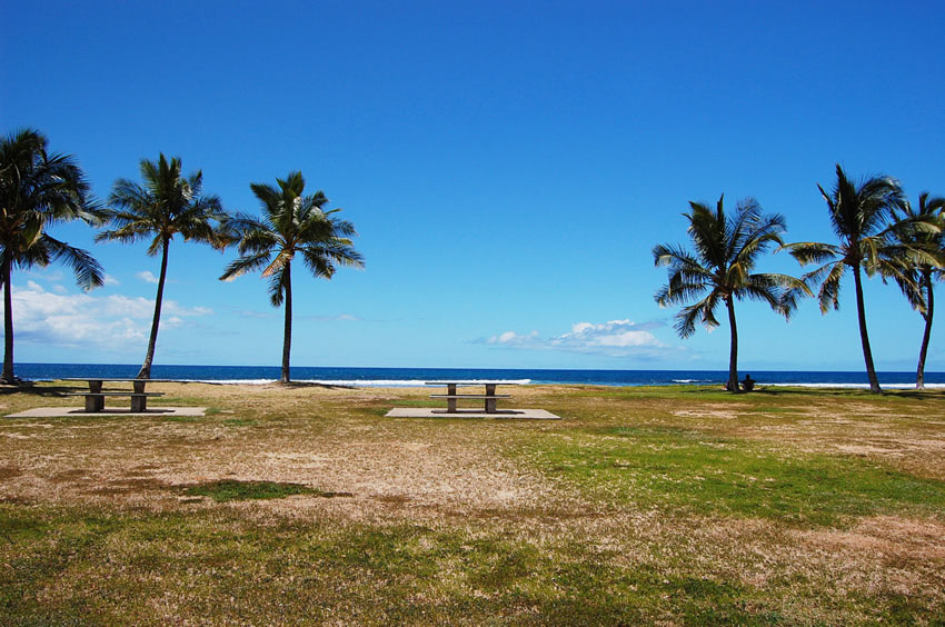 Oceanfront Picnic Area