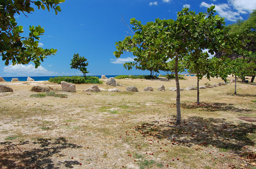 Remains of a Ancient Hawaiian Settlement