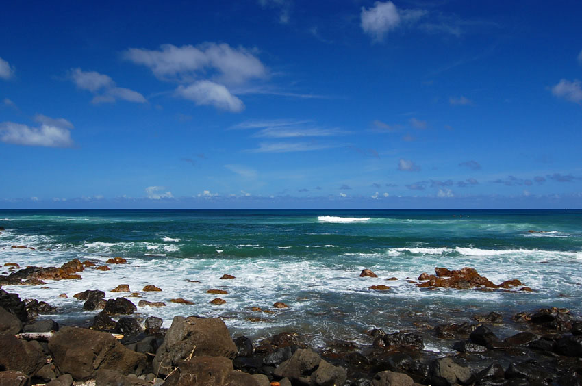 Rocky Shoreline 1