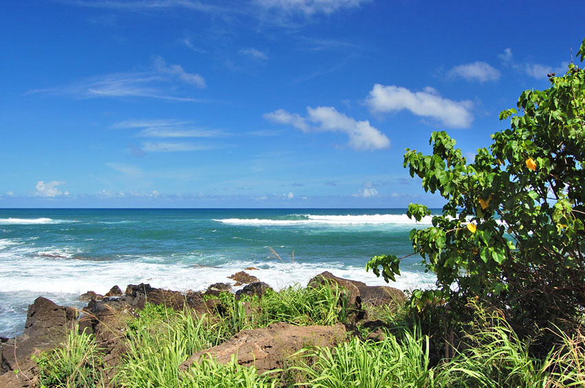 Rocky Shoreline 2