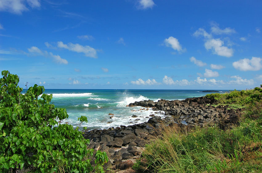 Rocky Shoreline 3