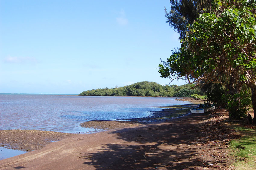 Looking South