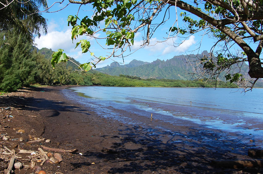 Middle Part of the Beach
