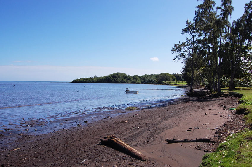 Muddy Shore