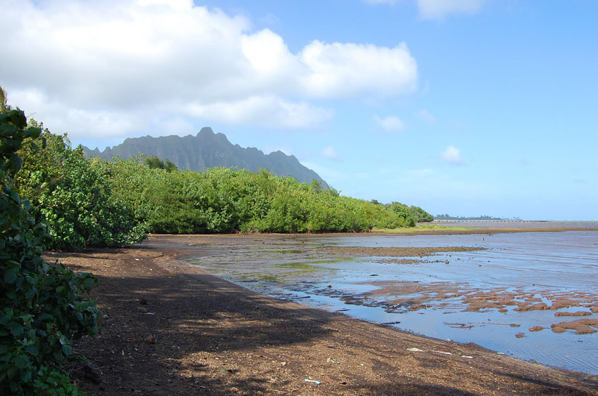 Northern End of the Beach