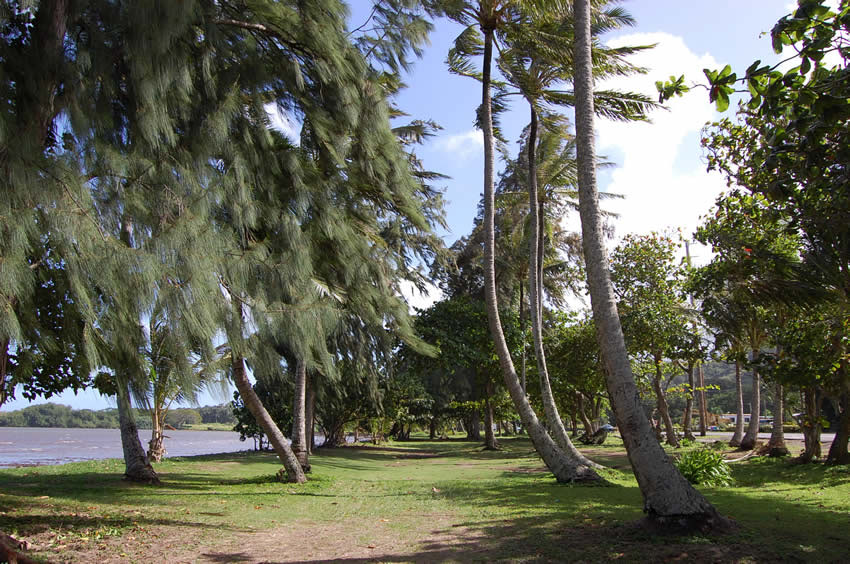 Northern End of the Park