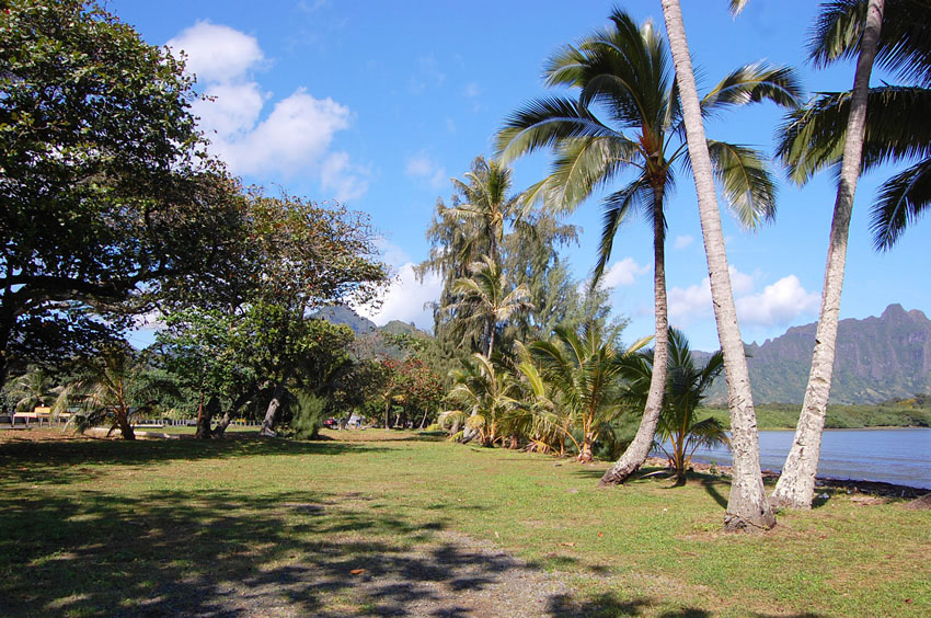 Park Area
