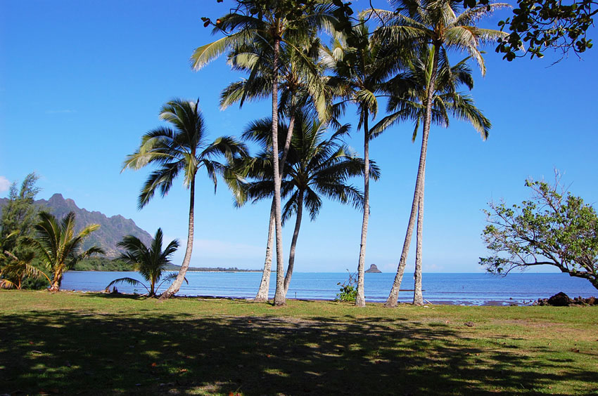 Scenic Beach Park