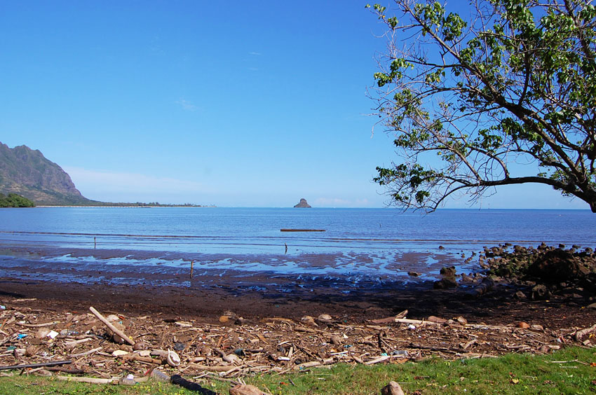 View to Chinamans Hat
