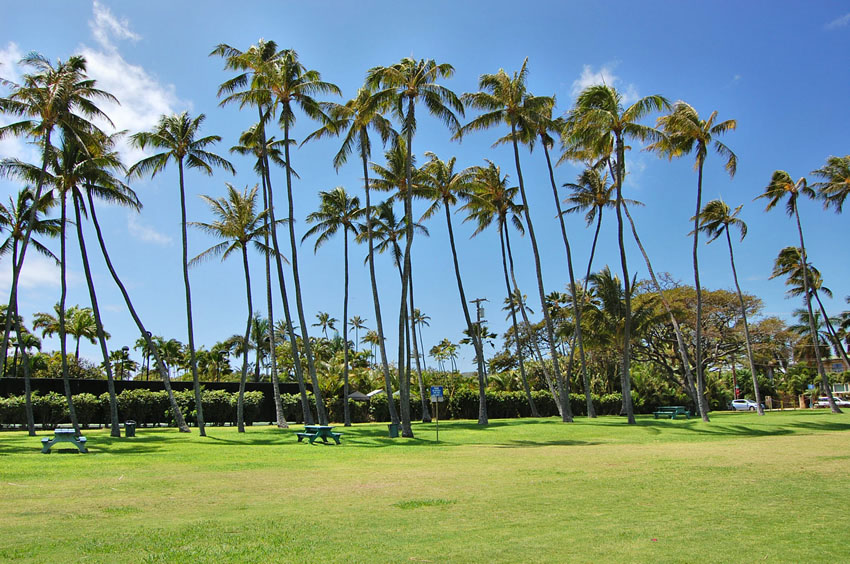 Beach Park