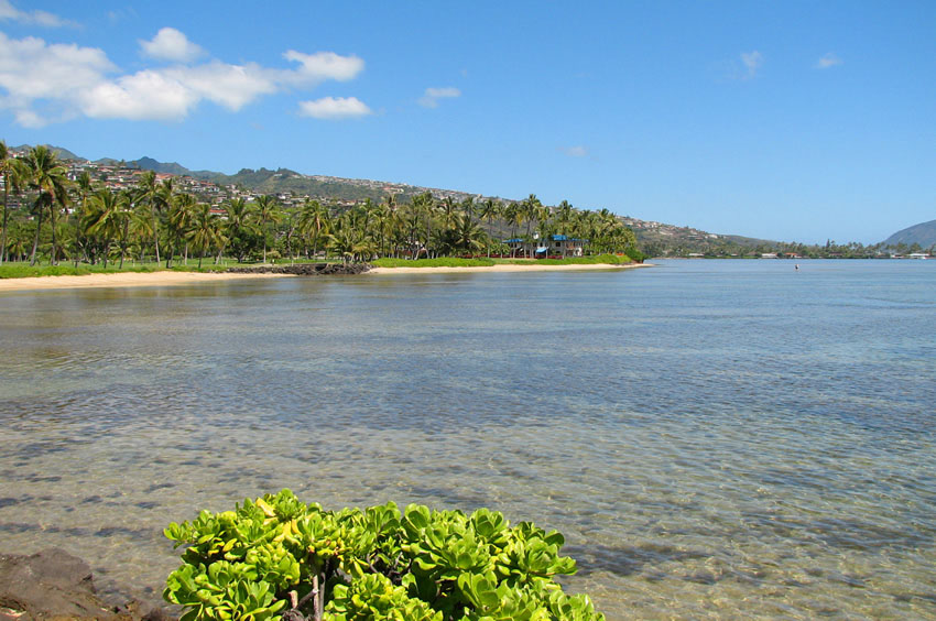 Tropical Kahala