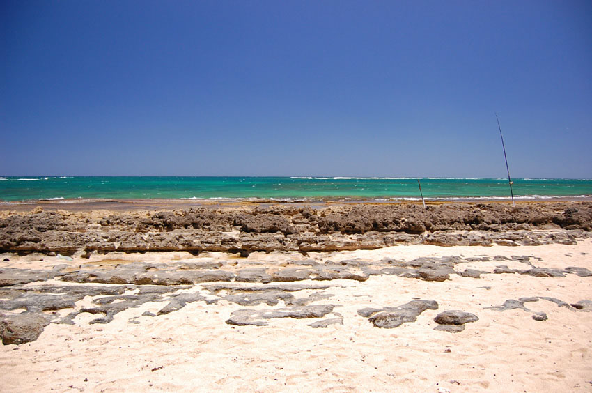 Limestone Shelf