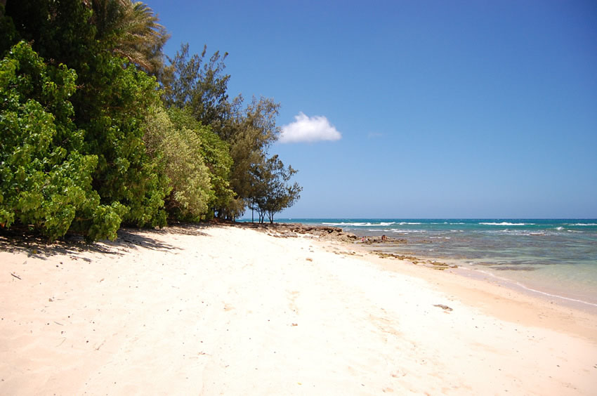 Sandy Part of the Beach