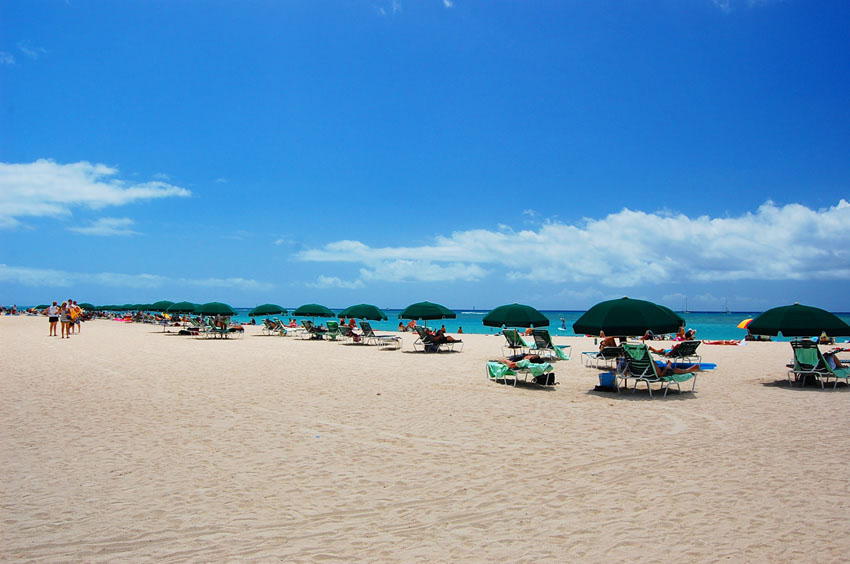 Beachfront Umbrellas