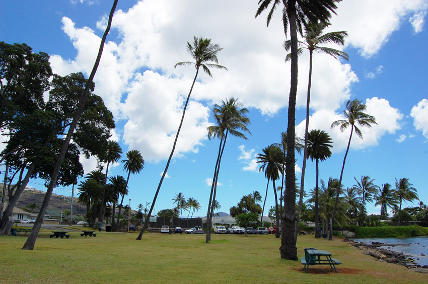 Park Has Picnic Tables