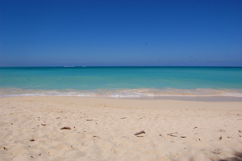 Tropical Blue