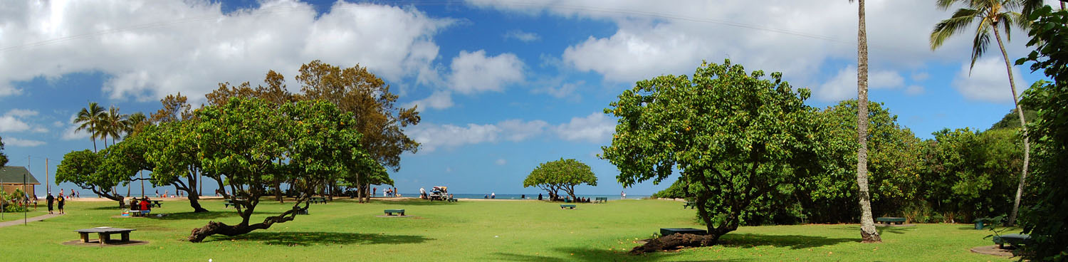 Waimea Bay Park P2