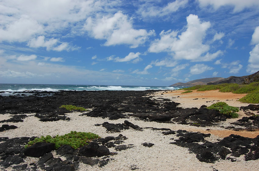 Black Lava Rocks on the Beach