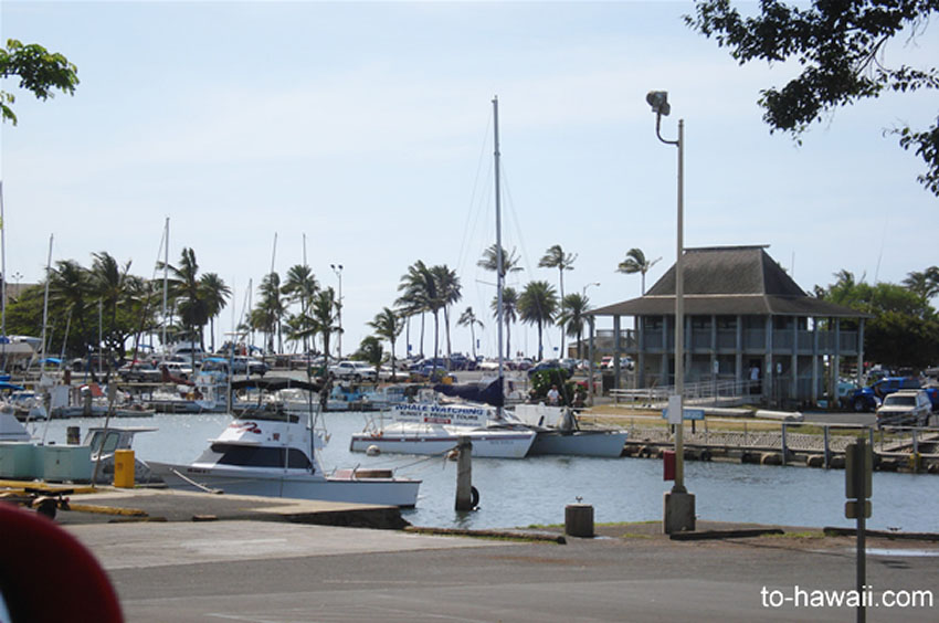 Haleiwa Harbor