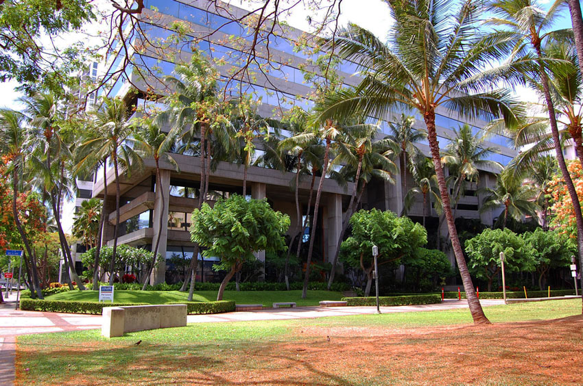 Downtownhonolulu 01