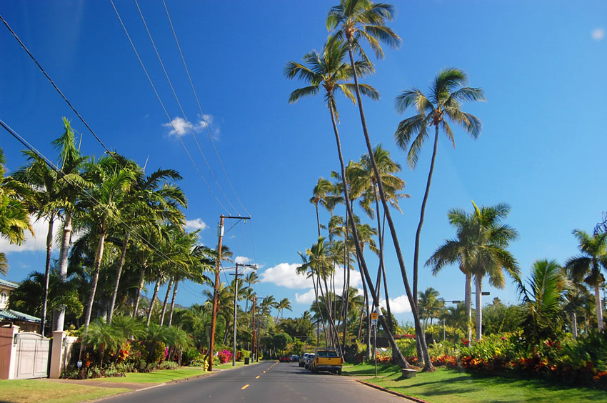 Kahala Ave 1