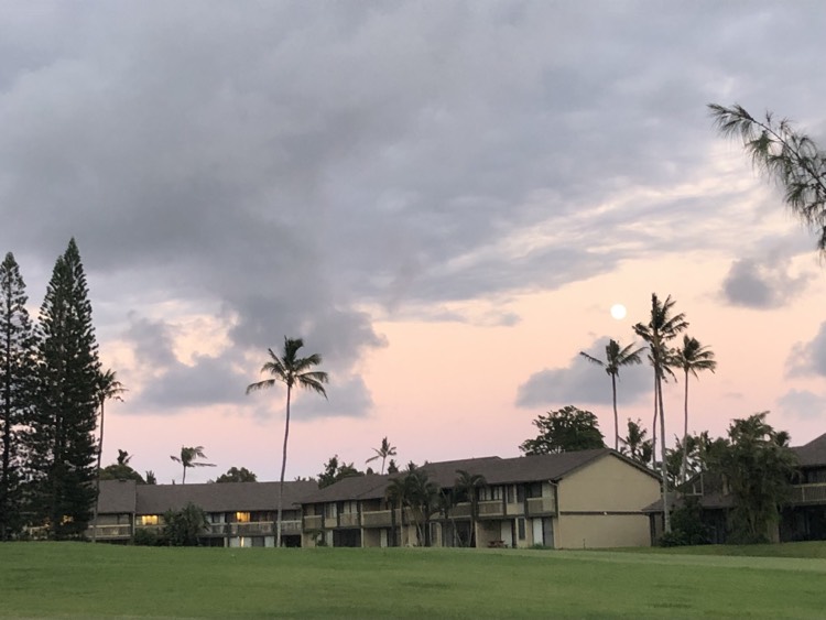 Kahuku Living 2026 1