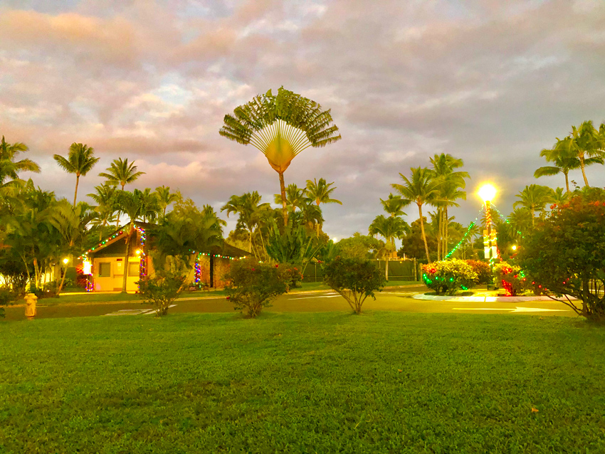 Kahuku Christmas 1
