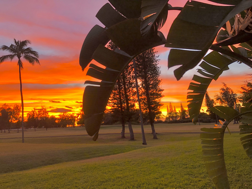 Sunset at Kahuku1