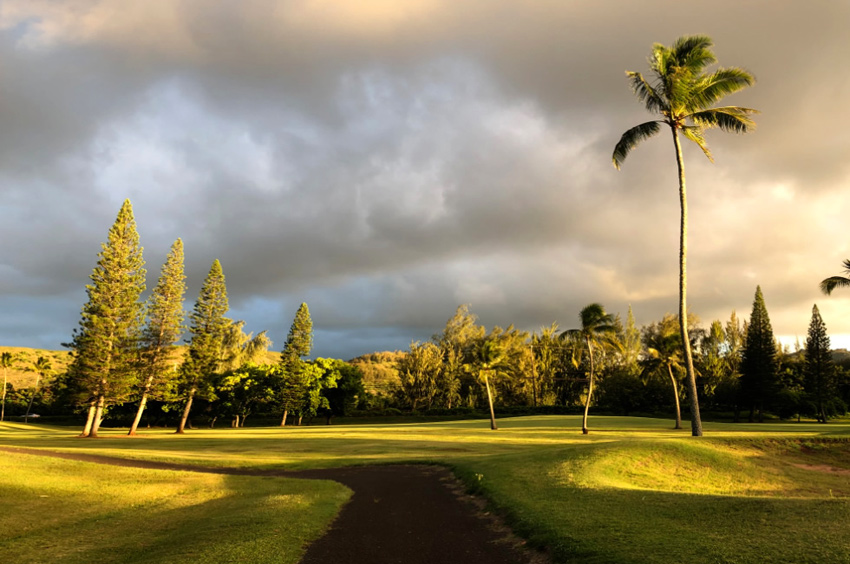 Turtlebay Golf1