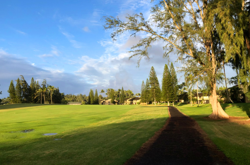 Turtlebay Golf2