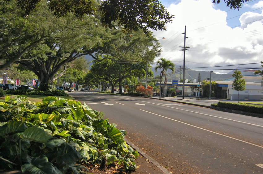 Kailua Road 2