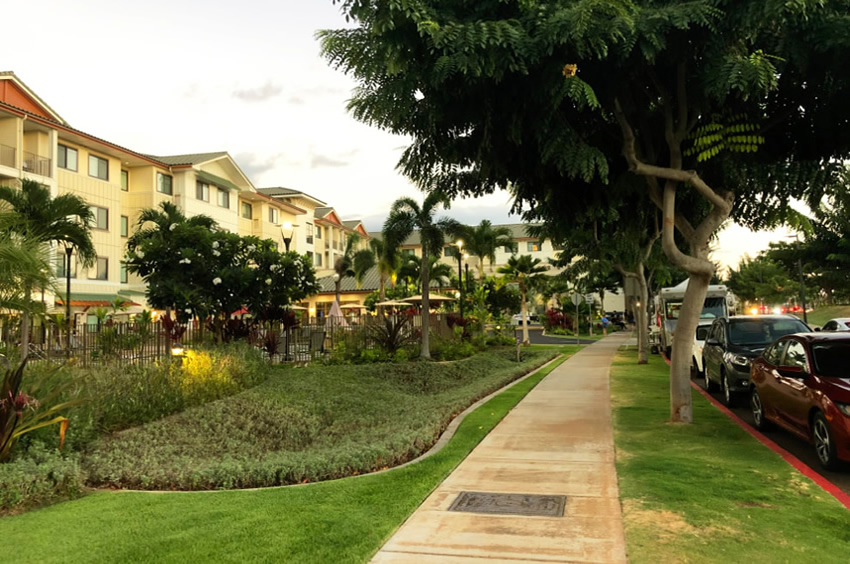 Local Neighborhood