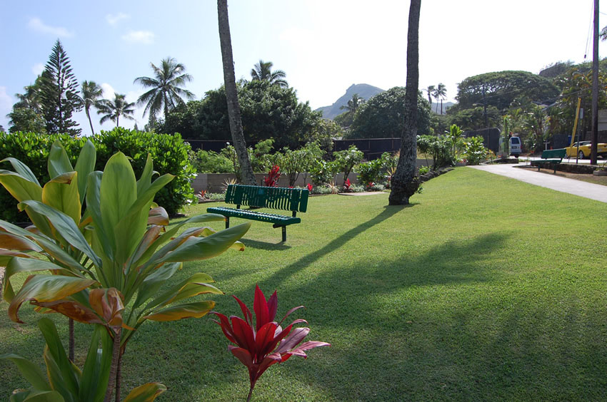 Small Park