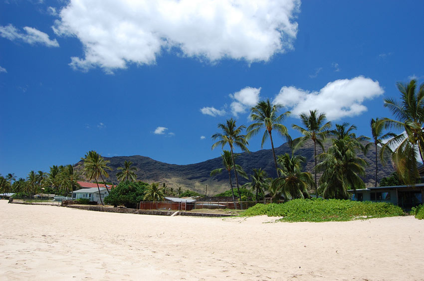 Oceanfront Home at Turtle Beach
