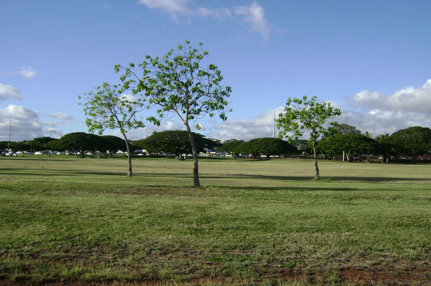Blaisdell Park