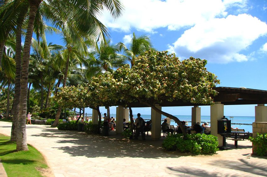 Waikiki on the Beach