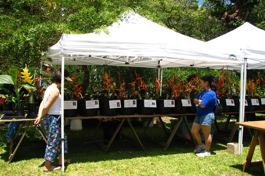 Flower Sale