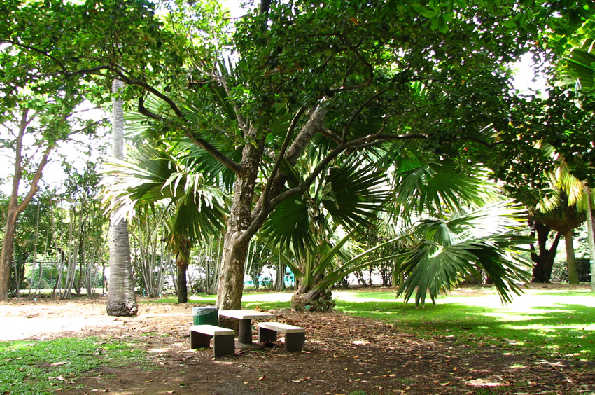 Place to Relax