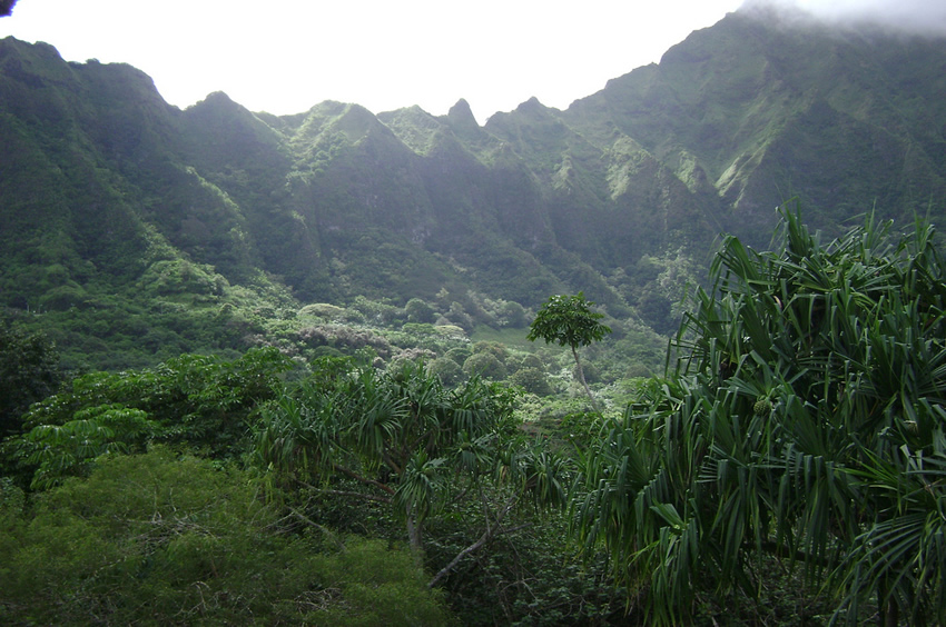 Ho'omaluhia Botanical Garden2
