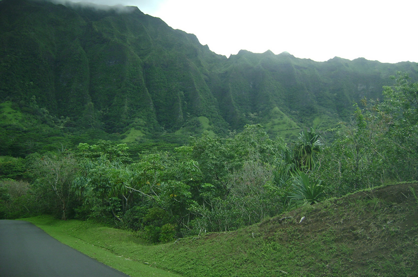 Botanical Garden in Kaneohe