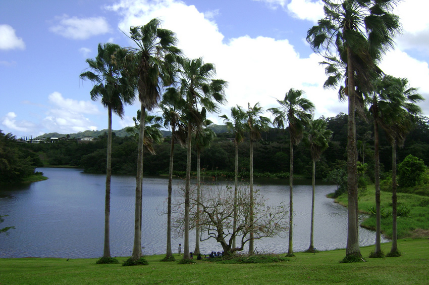 Hoomaluhia Park