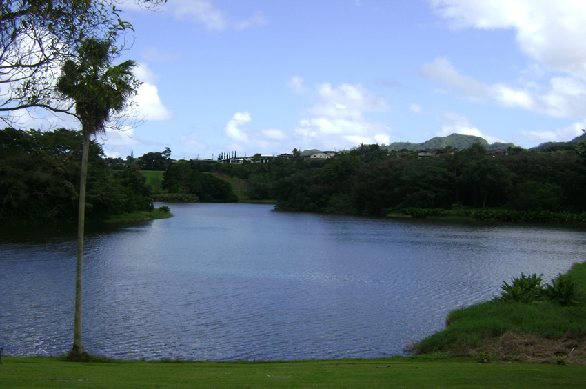 Scenic View