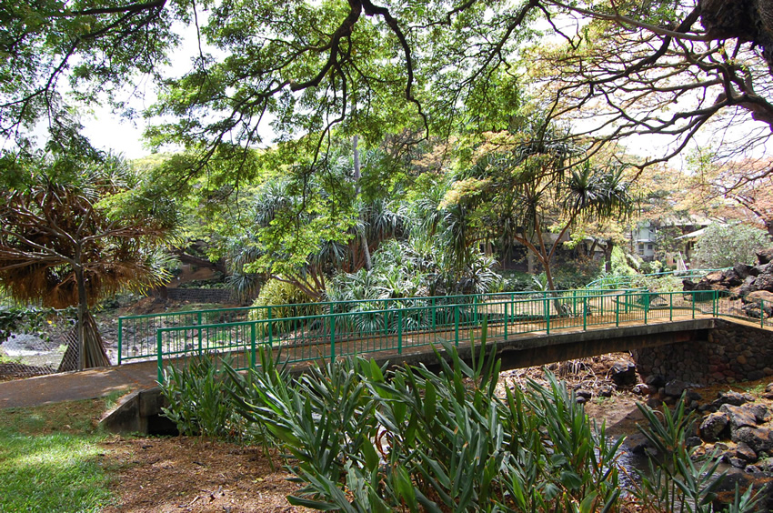 Bridge
