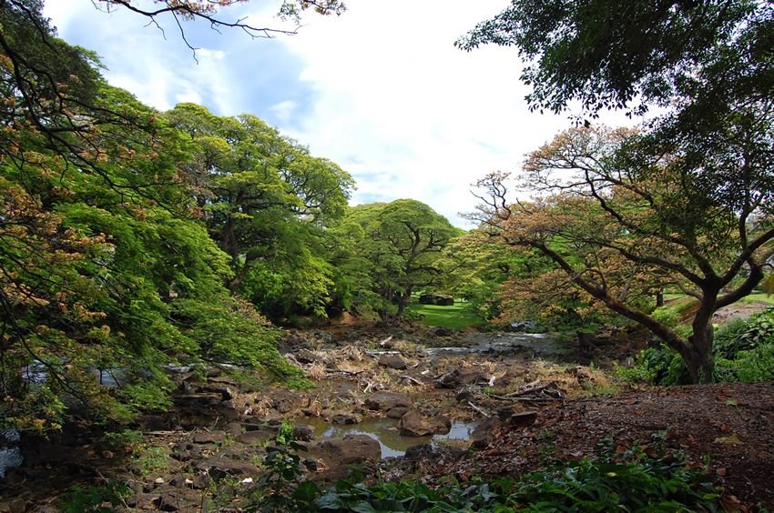 Garden Overview