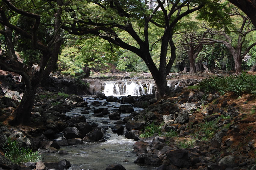 Liliuokalani Botanical Garden