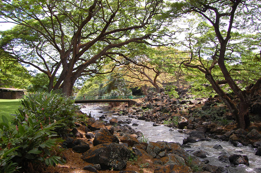 Nuuanu Stream and Bridge